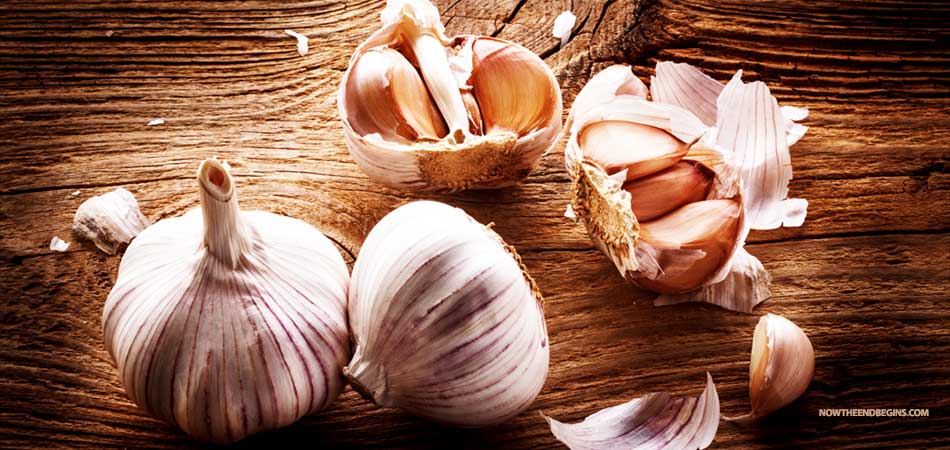 garlic-will-prevent-mosquito-bites-zika-virus-health-benefits