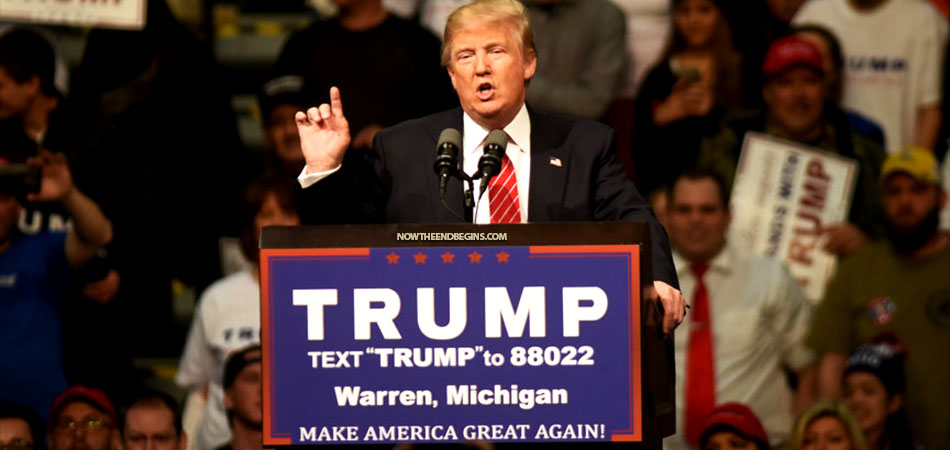 michigan-certifies-donald-trump-as-winner-306-electoral-votes