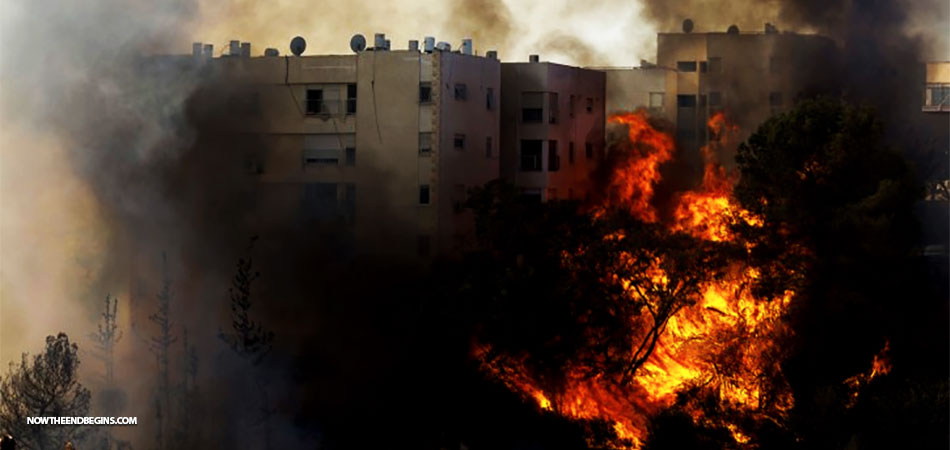 wild-fires-arson-rages-across-israel-november-24-2016