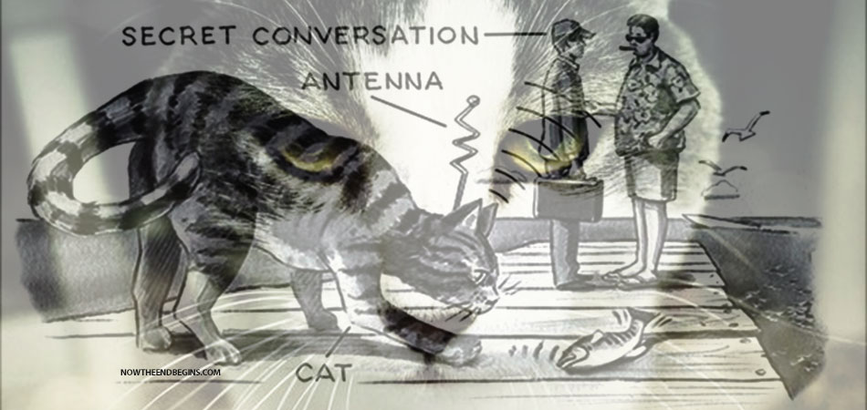 operation-acoustic-kitty-cia-wikileaks-spy-russians