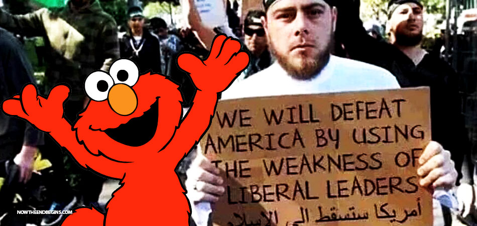 cnn-uses-elmo-to-bash-trump-travel-ban-supreme-court-fake-news