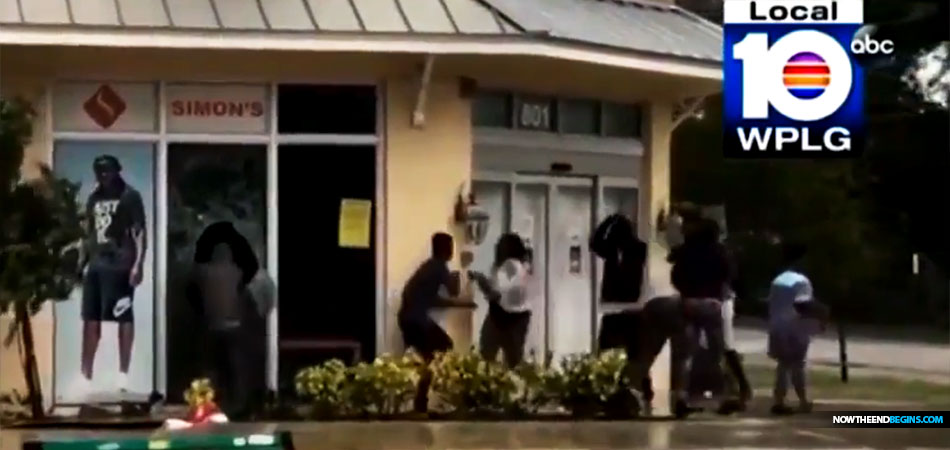 miami-news-10-captures-looters-fort-lauderdale-florida-hurricane-irma-nteb