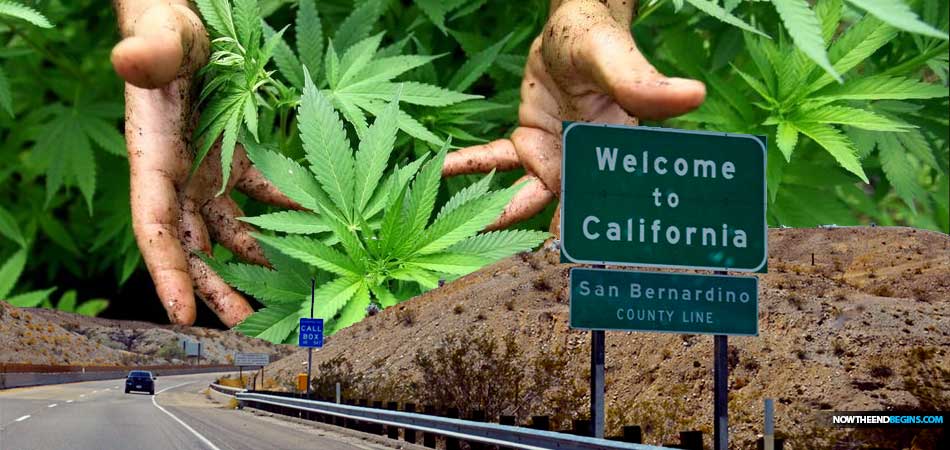 california-legal-recreational-marijuana-sales-proposition-64-pot-sales-cbd-high