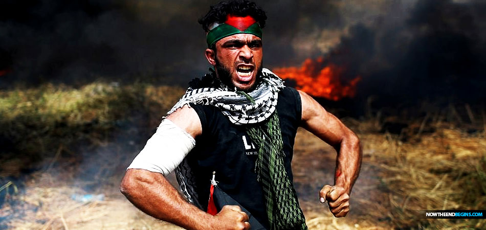 hamas-palestinian-death-toll-gaza-strip-un-condemns-israel-defending-borders-pope-calls-peace