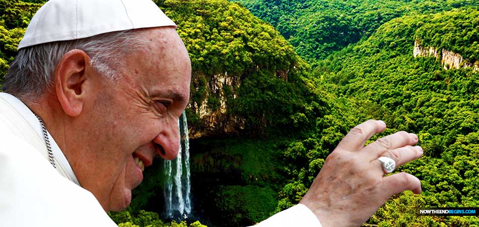 pope-francis-document-amazonia-married-priests-women-ministers-catholic-church-amazon