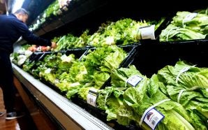 fda-warns-against-eat-romaine-lettuce-after-e-coli-outbreak-sickens-32-people-11-states