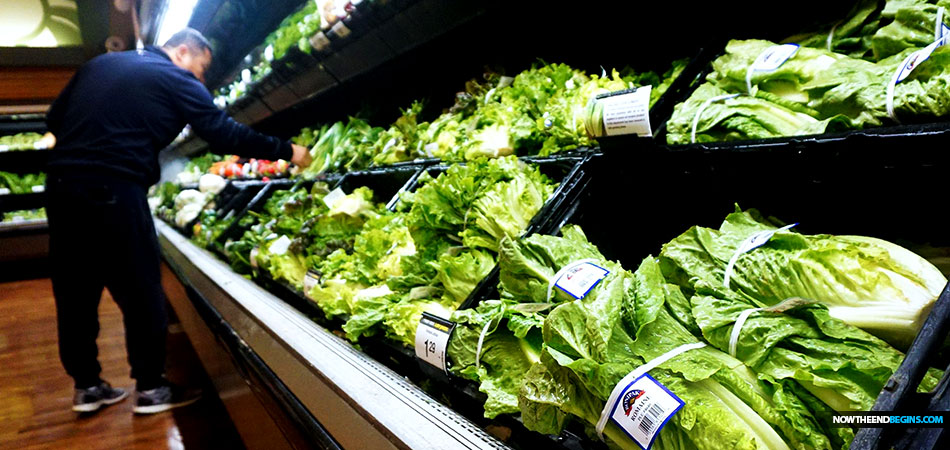 fda-warns-against-eat-romaine-lettuce-after-e-coli-outbreak-sickens-32-people-11-states
