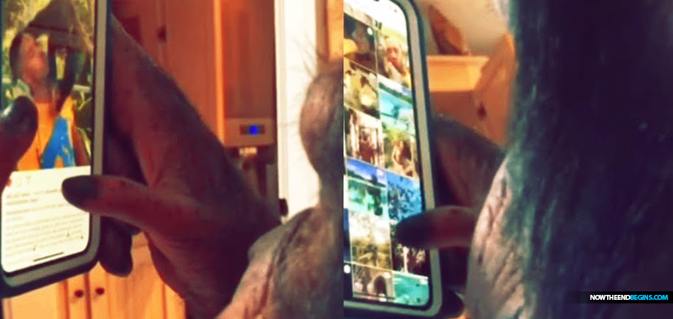 monkey-uses-instagram-swipes-through-photos-like-human