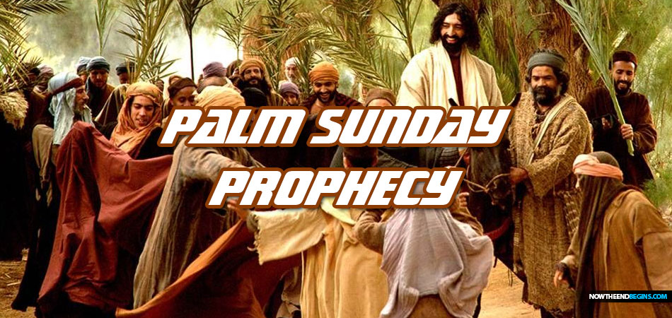prophecy-of-first-second-advents-fulfilled-on-palm-sunday-easter-rightly-divided-bible-study