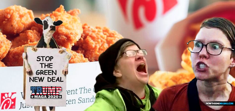 after-relentless-push-by-liberals-to-shut-down-chick-fil-a-to-become-third-largest-restaurant-america-waffle-fries-eat-mor-chikin