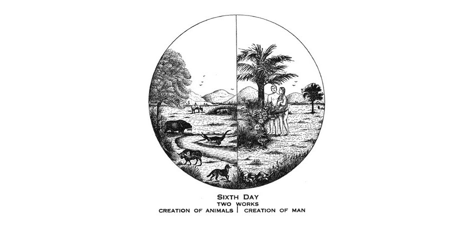 Larkin Charts Sixth Day Creation of Animals and Man