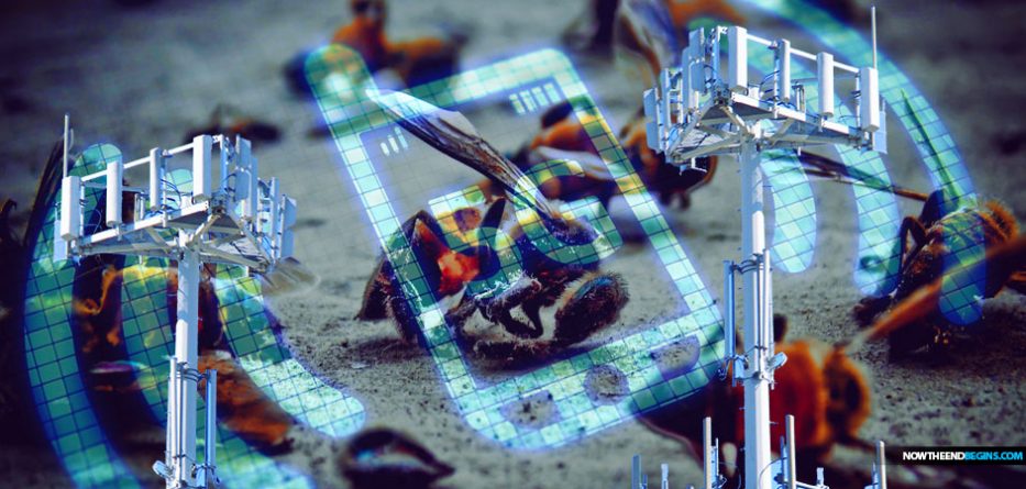 Slikovni rezultat za bees california 5g