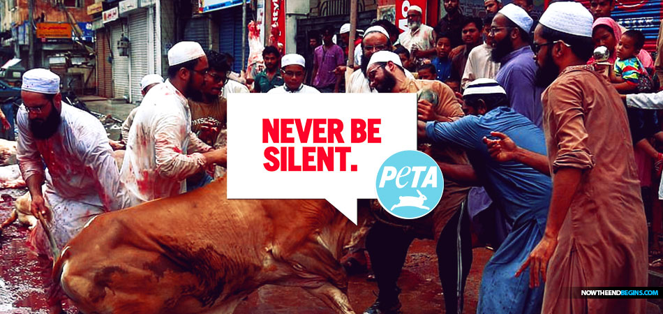 PETA silent as Goats, sheep and cows are slaughtered as Muslims mark festival of Eid around the world