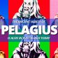 Pelagianism is named after a Catholic monk named Pelagius who was active in the early 400's AD. Pelagius denied original sin and taught that every person was born morally neutral: we are able to sin but also able not to sin. Pelagius said that human beings fall into sin by choosing to follow Adam’s example.