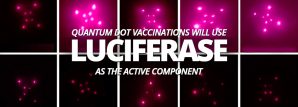 Bill Gates is building something that we call the Human Implantable Quantum Dot Microneedle Vaccination Delivery System, and it needs an enzyme called luciferase to make it work.