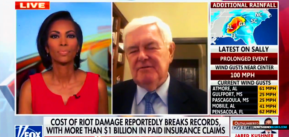 fox-becomes-fake-news-as-commentators-defend-george-soros-after-newt-gingrich-accurately-says-he-is-behind-radical-left-riots