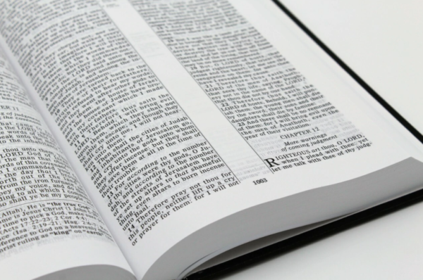 Hardcover Ruckman Reference Bible - Image 4