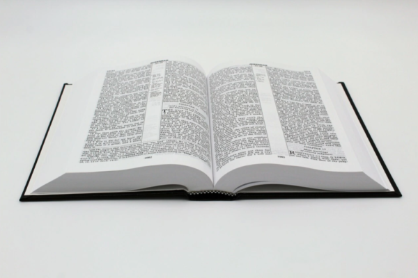 Hardcover Ruckman Reference Bible - Image 3