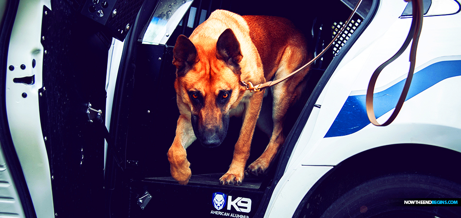 massachusetts-covid-k9-units-arrests-removal-detention-health-passport-new-world-order