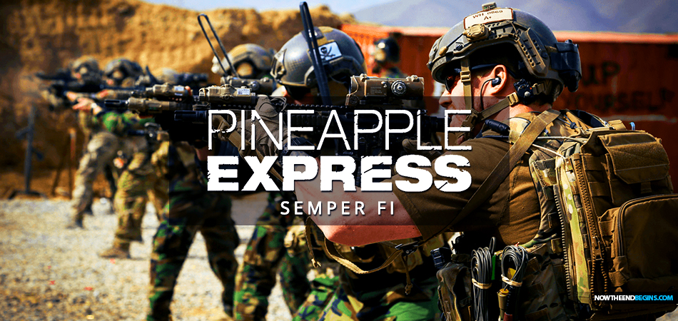 pineapple-express-special-forces-us-miitary-veterans-rescuing-americans-stranded-in-afghanistan-kabul-that-biden-abandoned-semper-fi