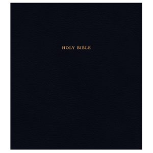 KJV Expressions Bible, Black - Hendrickson