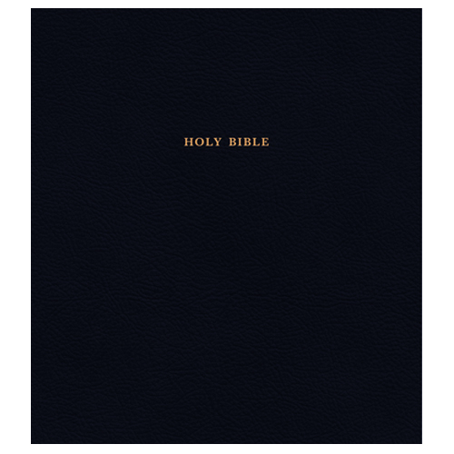 KJV Expressions Bible, Black - Hendrickson