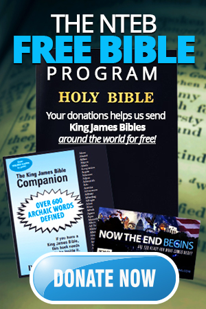 nteb-free-king-james-bible-program-300-450