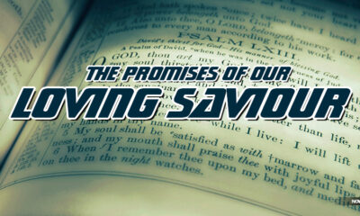 promises-of-jesus-christ-to-his-children-in-times-of-stress-trouble-anxiety-father-god-holy-spirit-king-james-bible