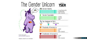 elementary-school-children-using-gender-unicorn-to-groom-your-child-into-lgbtqia-lifestyle-groomers-transgneder-abuse-sodom-gomorrah