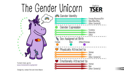 elementary-school-children-using-gender-unicorn-to-groom-your-child-into-lgbtqia-lifestyle-groomers-transgneder-abuse-sodom-gomorrah