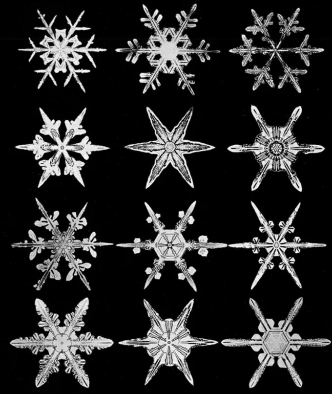 vermont-farmer-photographer-wilson-bentley-proved-no-two-snowflakes-are-alike-means-evolution-not-true-god-creation-snow-snowflake-man