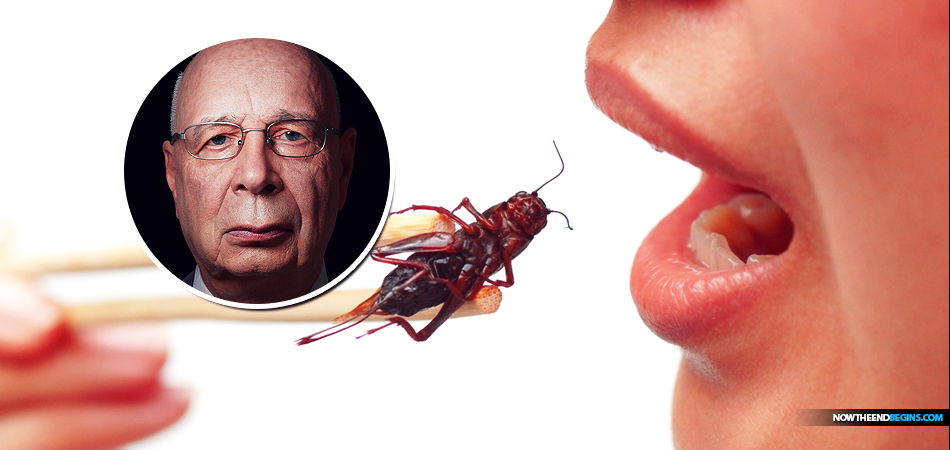 european-union-approves-two-more-insect-species-for-human-food-consumption-klaus-schwab-great-reset