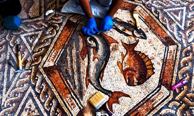 ancient-christian-fish-mosaic-found-in-meggido-prison-valley-of-armageddon