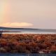 god-cancels-burning-man-2023-by-sending-a-massive-rain-floods-black-rock-desert-nevada