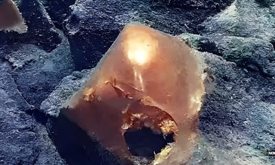 scientists-discover-mysterious-glowing-orb-on-seafloor-alaska-space-aliens-ufos-egg-noaa-national-oceanic-Atmospheric-Administration