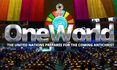 united-nations-sdg-sustainable-development-goals-un-agenda-2030-spike-cia