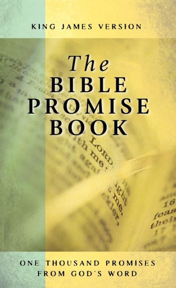 The Bible Promise Book - King James Version - Image 2