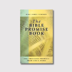 Bible Promise Book Cover