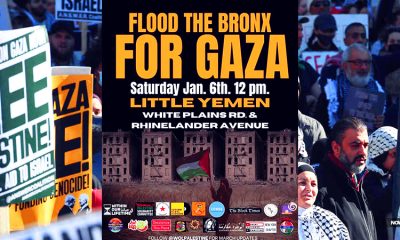pro-hamas-group-within-our-lifetime-behind-traffic-stopping-protests-new-york-city-nerdeen-kiswani-fatima-mohammed-free-palestine-anti-israel