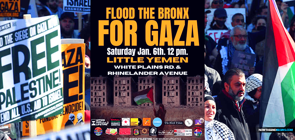 pro-hamas-group-within-our-lifetime-behind-traffic-stopping-protests-new-york-city-nerdeen-kiswani-fatima-mohammed-free-palestine-anti-israel