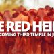 israel-coming-third-temple-red-heifer-israel-jews-law-of-moses-tribulation