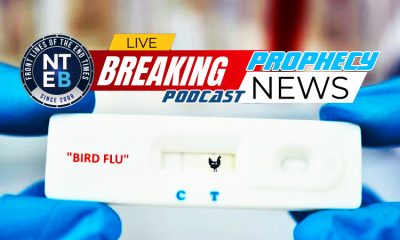 prophecy-news-podcast-disease-x-new-pandemic-bird-flu-100-times-worse-than-covid-bill-gates