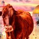 red-heifer-sacrifice-israel-passover-2024-temple-mount