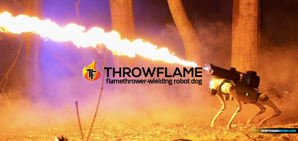 thermonator-flamethrow-wielding-robot-dog-robots-last-days-throwflame-black-mirror-revelation