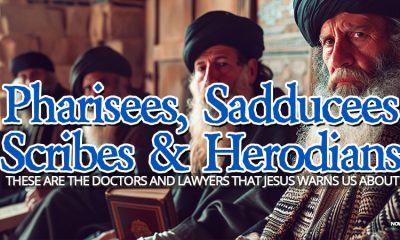 who-were-pharisees-sadducees-scribes-herodians-jesus-warns-us-about-nteb-rightly-dividing-kjv-bible-study