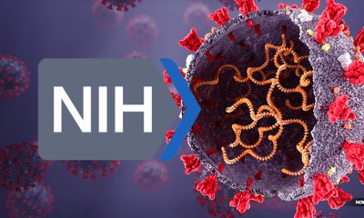 nih-national-institutes-of-health-admit-gain-of-function-on-covid-19-wuhan-lab-in-china-pandemic