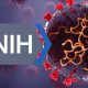 nih-national-institutes-of-health-admit-gain-of-function-on-covid-19-wuhan-lab-in-china-pandemic