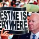 thousands-of-pro-palestinian-rioters-arrested-across-united-states-anti-israel