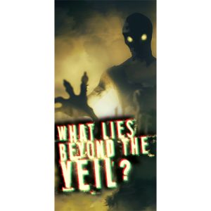 'What Lies Beyond The Veil?' Gospel Tract - Pack Of 50