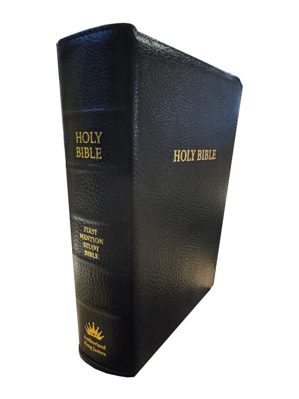 KJV Note Takers First Mention Study Bible Large Print Lambskin - Kevin Mann - Image 4